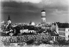 Панорама Львова