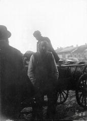 Market in Brzesko near Tarnov