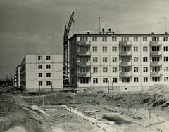 Новобудови на вулиці В. Терешкової (тепер вул. І. Виговського)