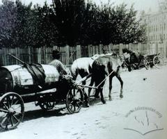Кінний перевізник на вул. Гете