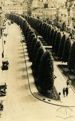 Тополева алея на вулиці Академічній (тепер пр. Т. Шевченка)