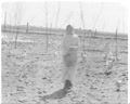 Poultry Farming in Rivne Oblast
