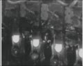 Перебування албанської делегації у Львові на - Електроламповий завод