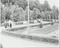Lviv, a Green City