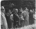 Шевченківська верба