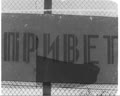 Спорт: легка атлетика