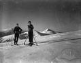 Lviv skiers on Carpathian ski trail