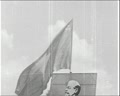Гірська чарівниця: карпатські