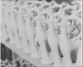 Household Ceramics Manufacturing