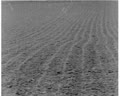 Crop Care