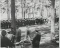 Змагаються сандружини