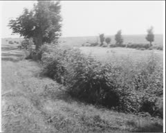 В колгоспі - мільйонері