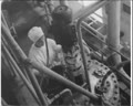 In Pursuit of Human Health (Pharmaceutical Production)