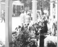 Exhibition of Flowers