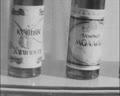 Creators of the Sunny Drink (Alcohol Production)