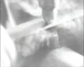 Попереду комуністи