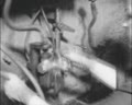 Трудова вахта триває