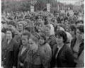 Мітинг протесту
