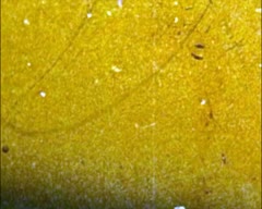 День міста Львова.Тисячоліття хрещення Русі.