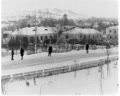 Весілля мало бути в червні (теленарис)