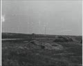 Верховина день 35-й - теленарис