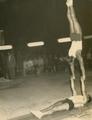 Gymnasts performance at Lviv Polytechnic summer camp