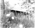 Twenty Years at the Farm: Skole