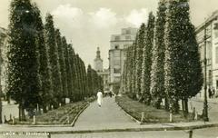 Тополева алея на проспекті Шевченка