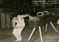 Gymnastics and acrobatics sport competitions