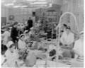 Shock Labor in the Garment/ Fashion Industry