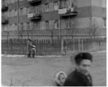 Іванна Гошко - їхній бригадир (теленарис про делегата ХХІV з'їзду компартії України