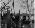 Пам'яті Лесі Українки