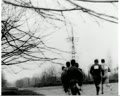 Spring Running Race