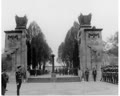 Commemorating the Fallen