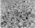 Meeting with the Participants of the Great Patriotic War