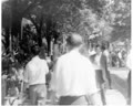 Виставка квітів
