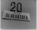 Свято вулиці Пелехатого