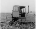 Beet-Root Harvesting
