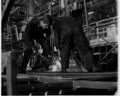 Bus Builders in Subbotnik