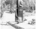 Вшанування пам'яті письменника