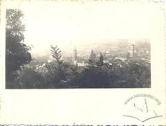 Панорама Львова