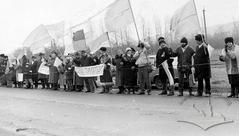 "Живий ланцюг" в День Соборності України