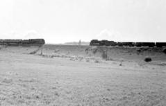 Кривчиці. Вулиця Богданівська, початок 1960-х років