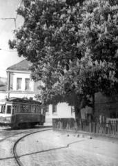 Вулиця Дніпровська (початок 1960-х років)