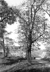 Вулиця Замкова, середина 1950-х років.