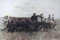 Депортація поляків м. Підгайці
