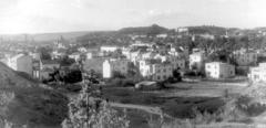 Филипівка. Вулиця О. Теліги, початок 1950-х років
