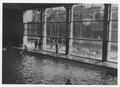 Indoor swimming pool