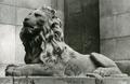 Sculpture of the lion at 50 Chuprynky
