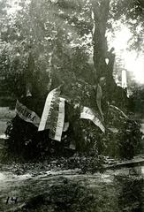 The grave of Ivan Franko
